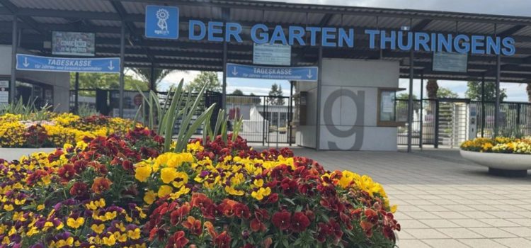 Nawi-Tag der Pesta – Lernen im Regenabenteuer Nawi-Tag der Pesta – Lernen im Regenabenteuer